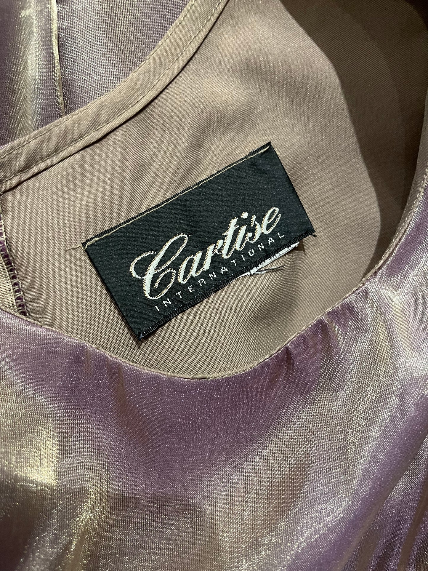 90s ‘Cartise’ Shiny Maxi Dress / Medium