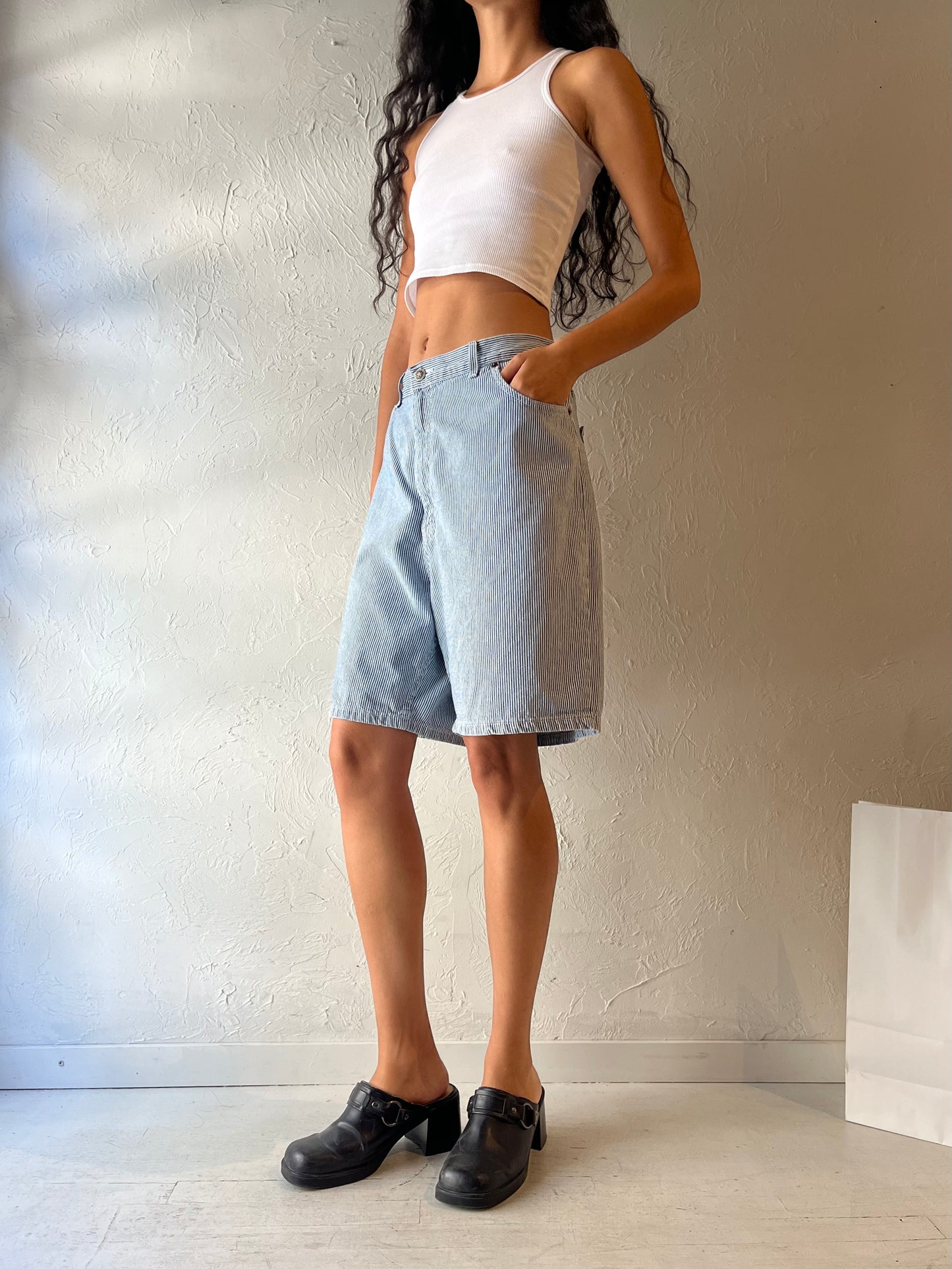 90s 'Faded Glory' Pinstripe Denim Shorts / Large